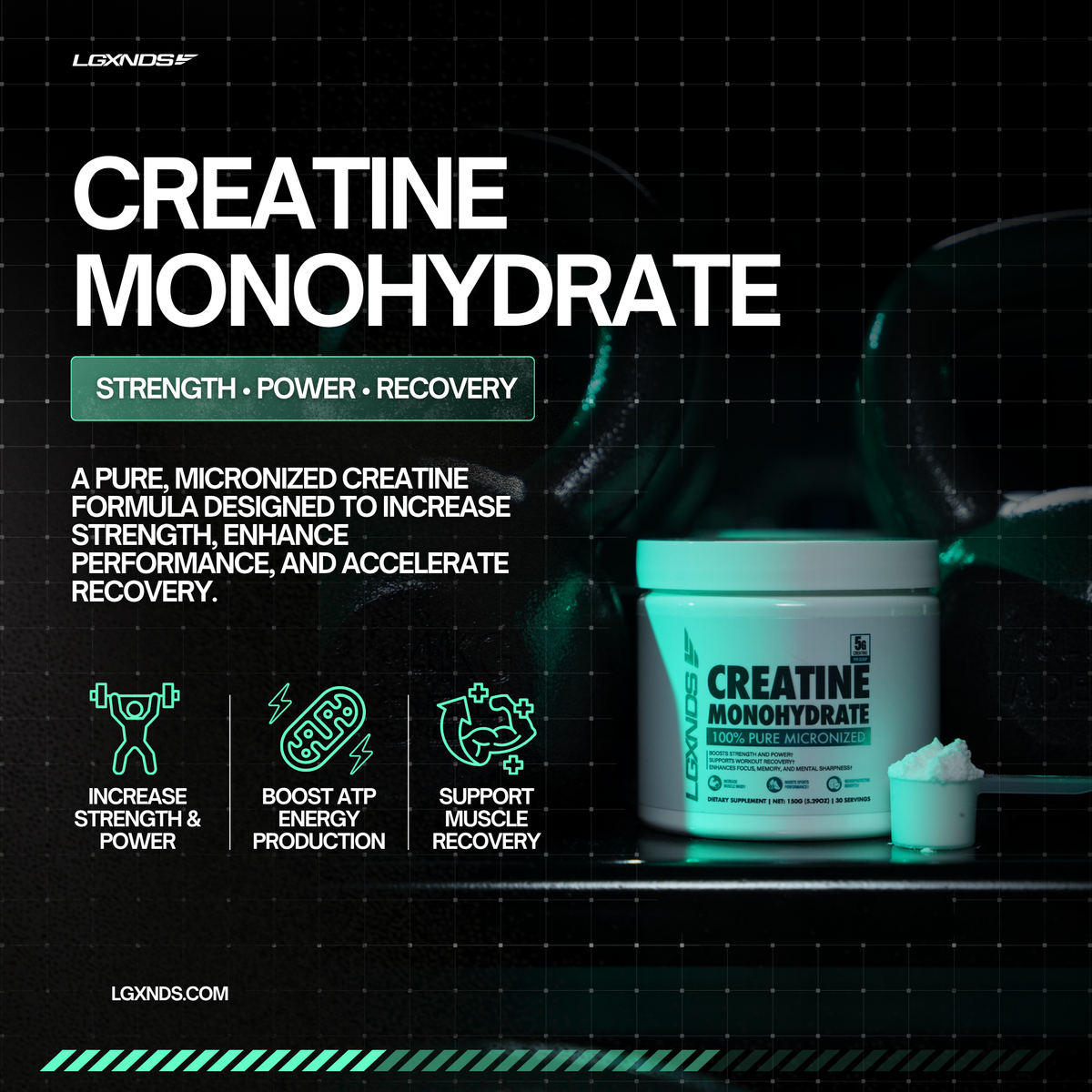 Creatine Monohydrate supplement for strength, power, and recovery with micronized formula
