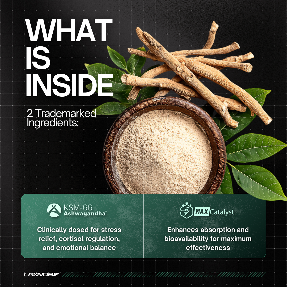 Premium supplement with Ashwagandha and MAX Catalyst for stress relief and enhanced absorption