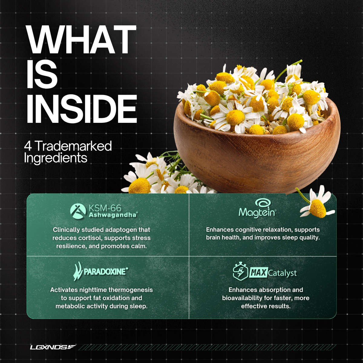 Wooden bowl of chamomile flowers with 4 trademarked supplement ingredients for stress resilience and sleep quality
