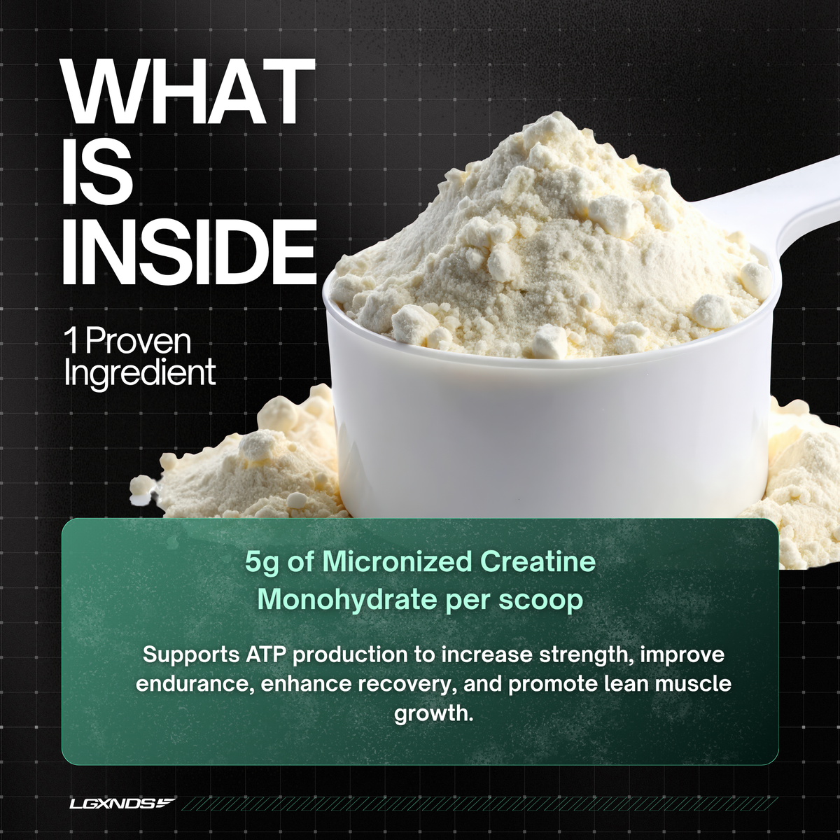 Scoop of micronized creatine monohydrate powder for strength and muscle recovery support