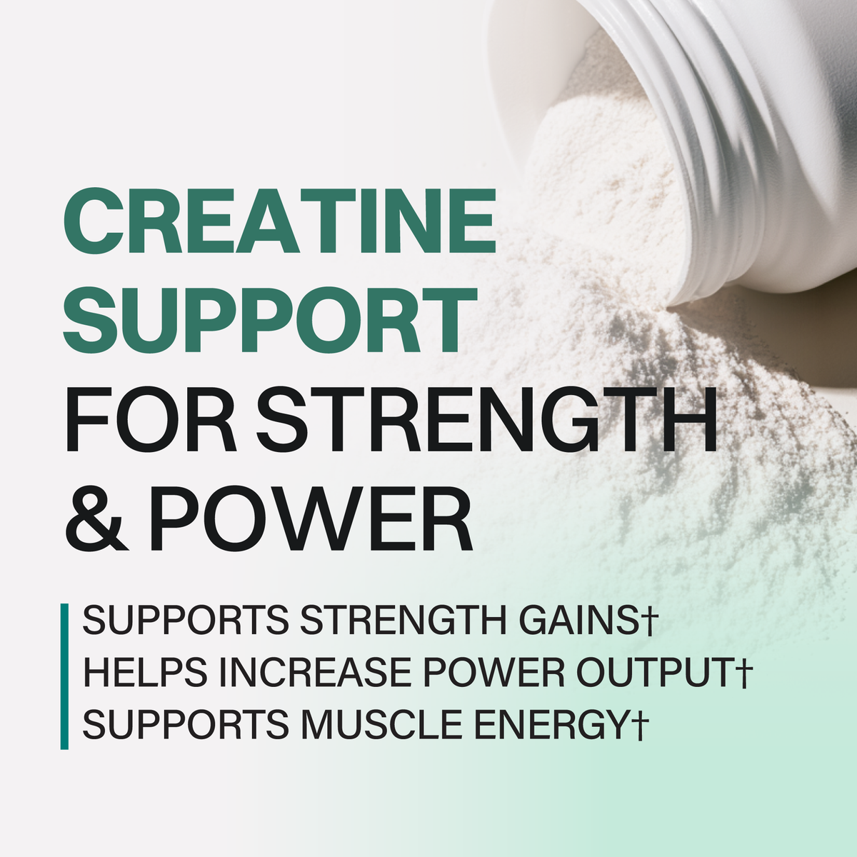 Creatine Monohydrate - 60 Servings