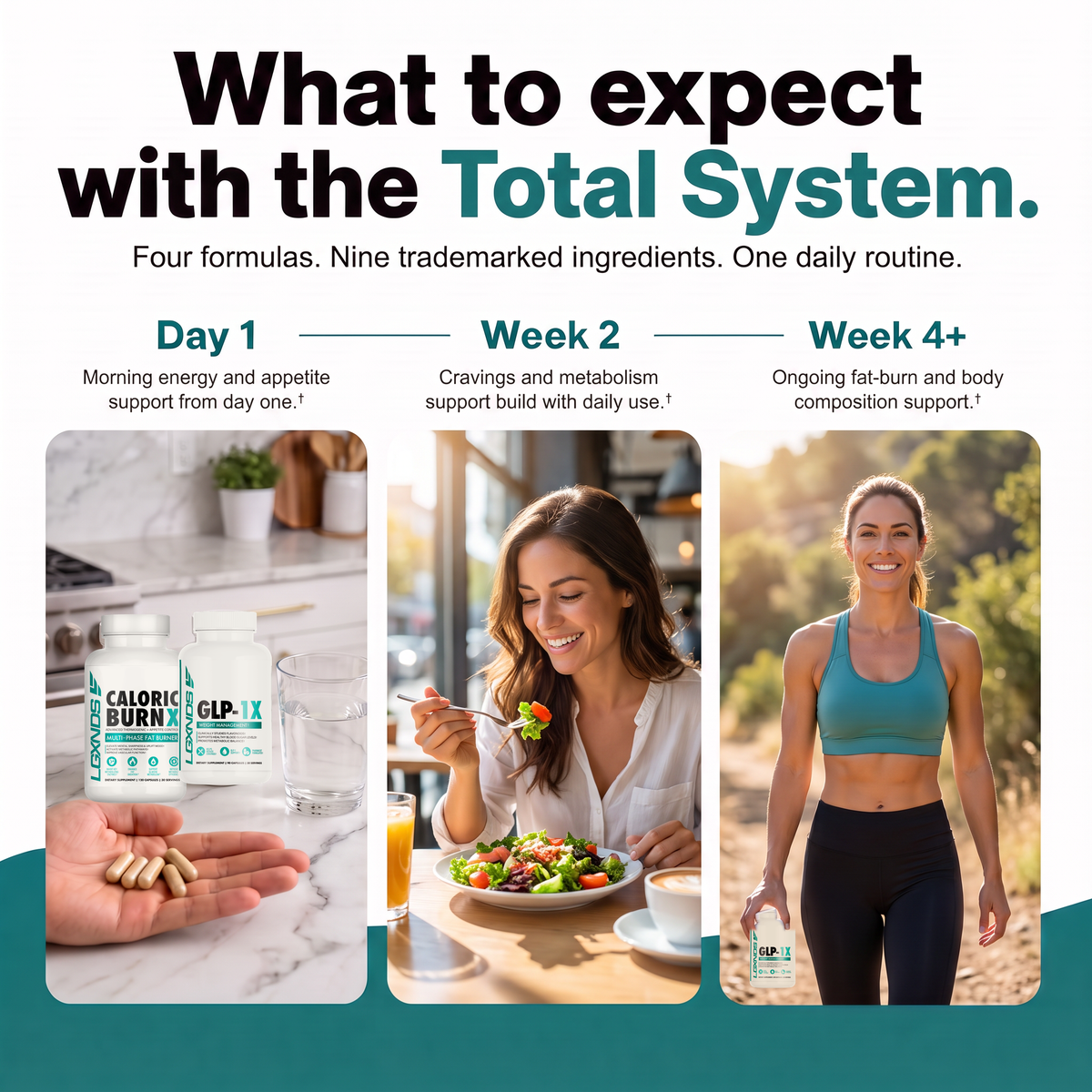 Total Weight Loss System