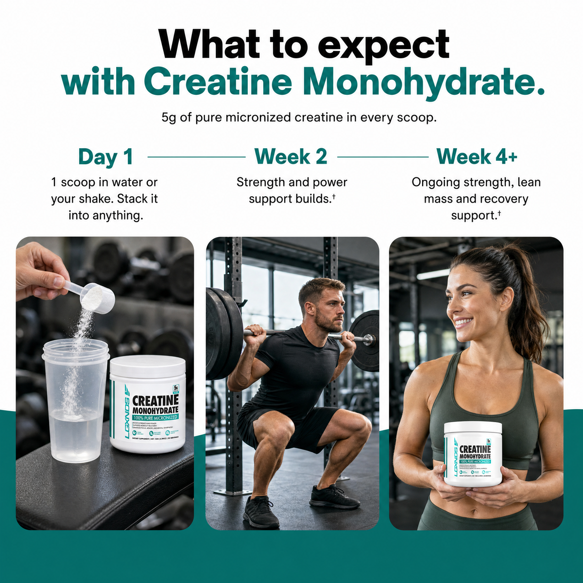 Creatine Monohydrate - 30 Servings