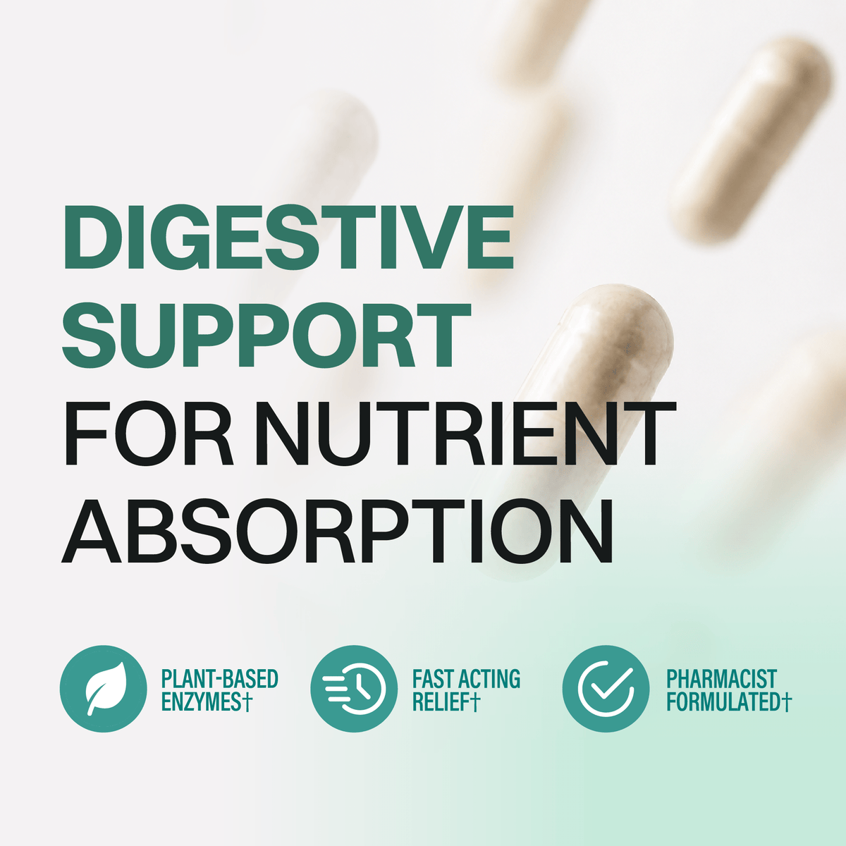 Digestive Enzymes