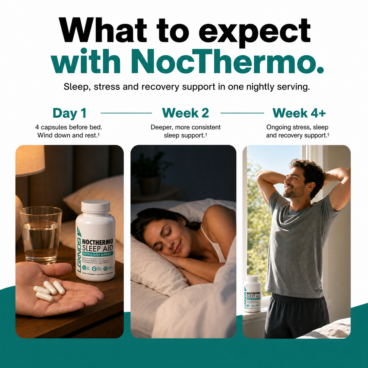 NOCTHERMO