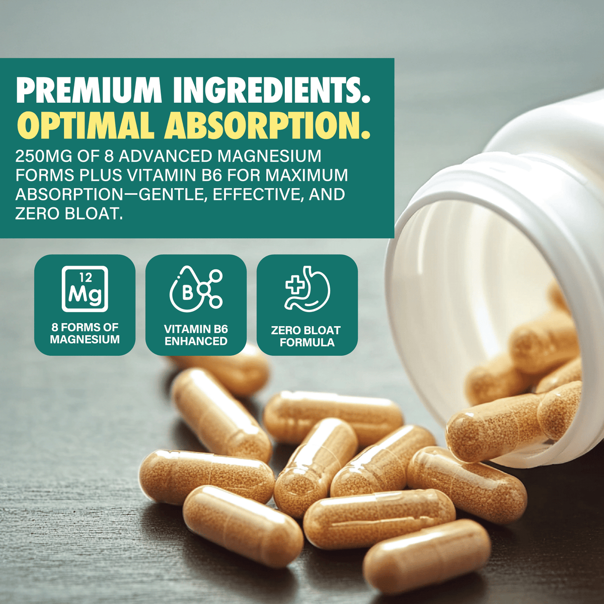 Magnesium supplement capsules with vitamin B6, zero bloat, premium absorption.