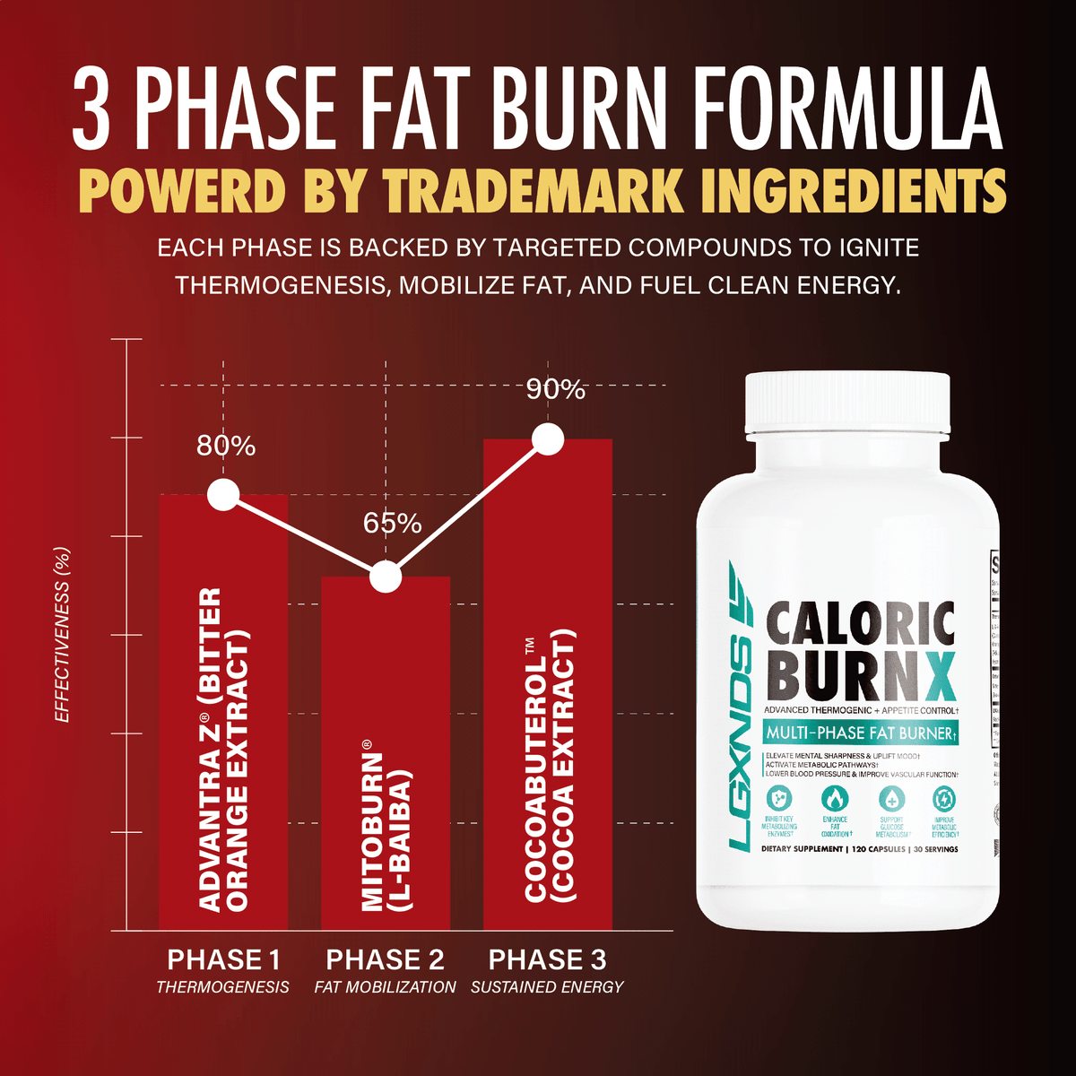 Three phase fat burn supplement formula chart with bottle of Caloric Burn X multi-phase fat burner, red background.